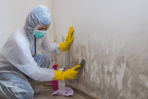Best Mold Testing  in Oroville, WA