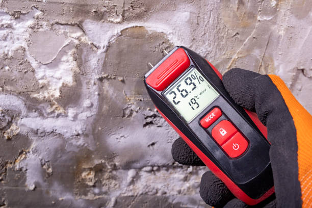 Best Office Mold Removal Services  in Oroville, WA