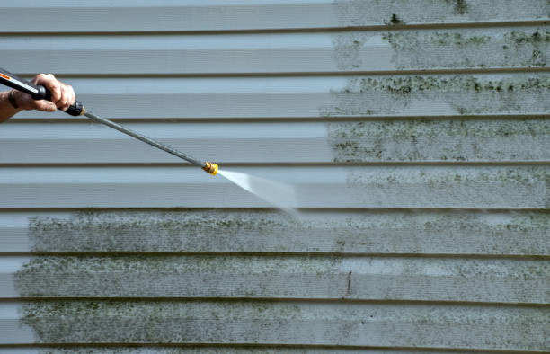 Best Attic Mold Removal  in Oroville, WA