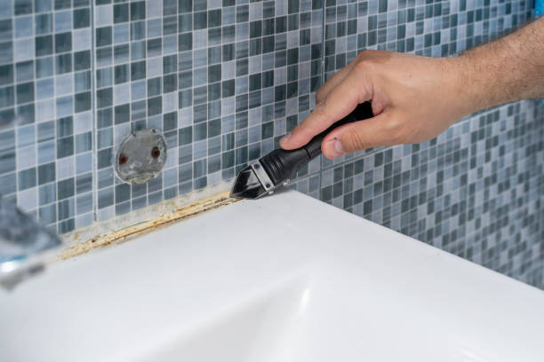 Best Fast Mold Removal  in Oroville, WA