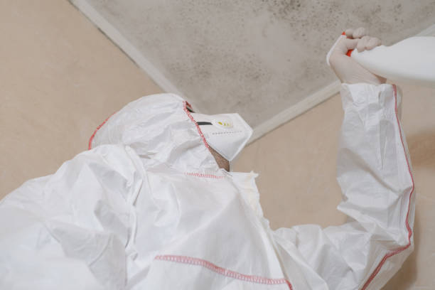 Best Affordable Mold Removal  in Oroville, WA