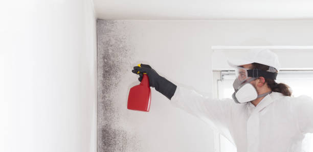 Best Mold Cleaning Services  in Oroville, WA
