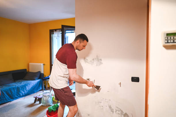 Best Home Mold Removal  in Oroville, WA